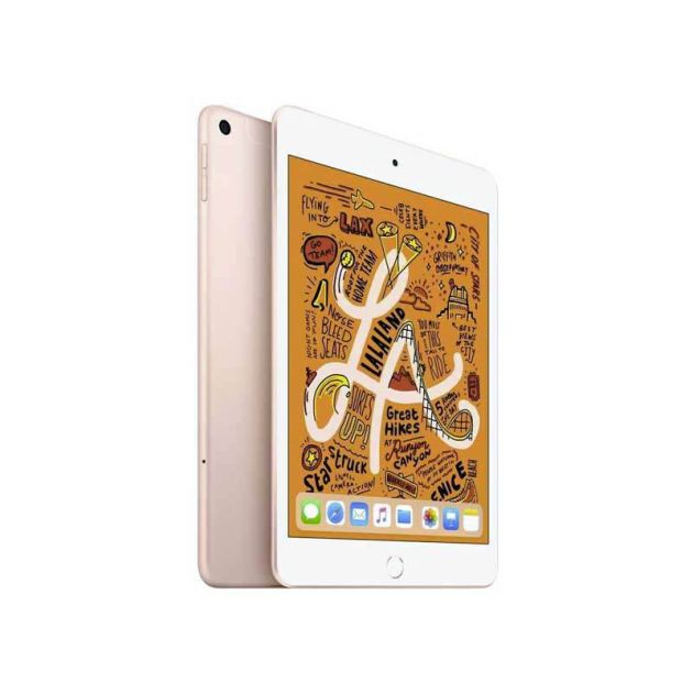 Apple iPad mini 5 - 7.9" - 64Go/3Go Ram - 8MP/7MP - 1 Nano sim - 5124 mAh - garantie de 12 mois